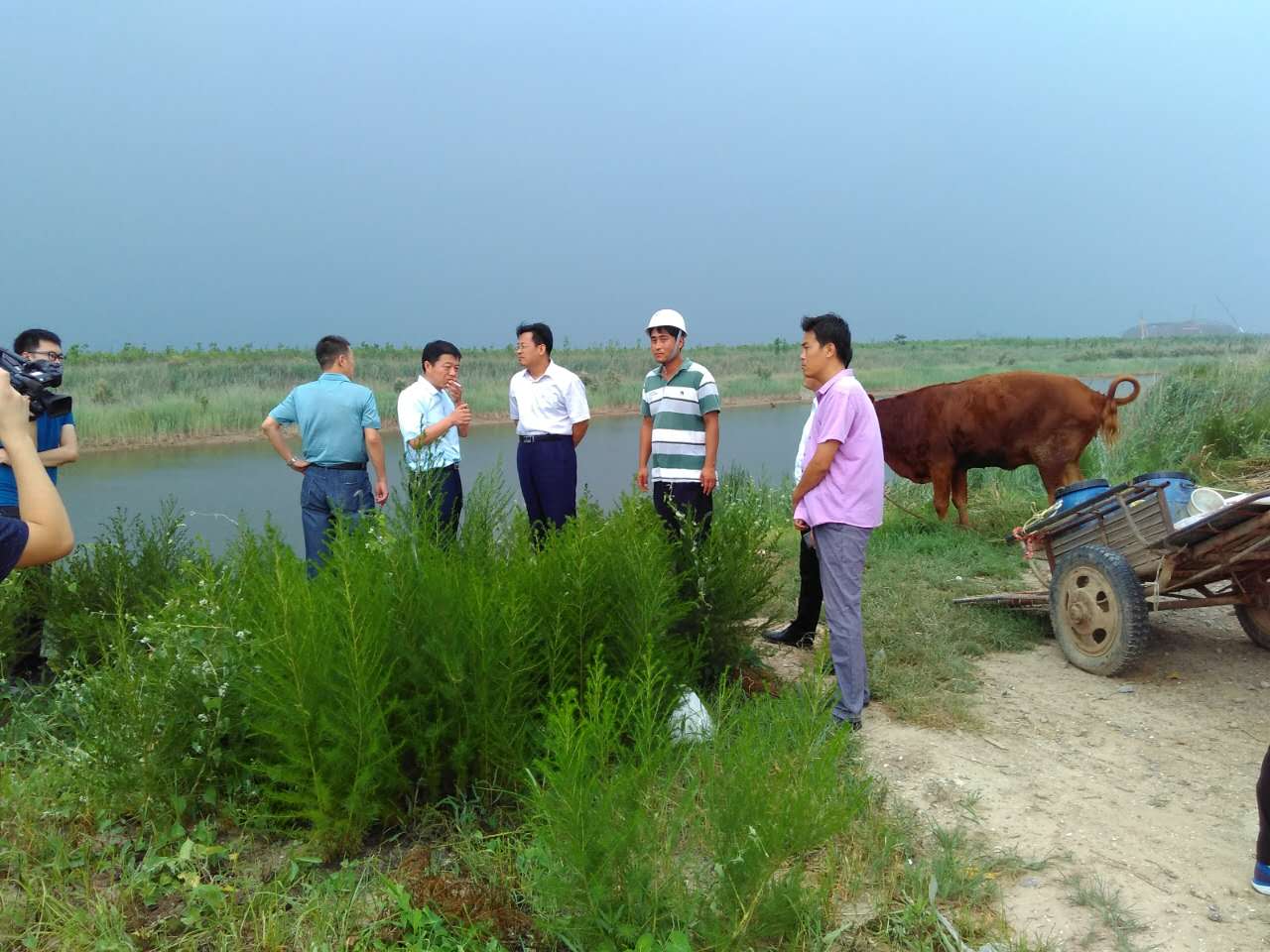 新老澳门原料网大全